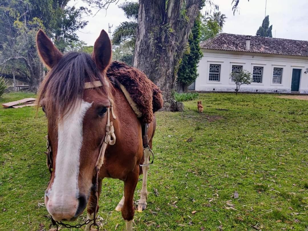 Pousada Do Sobrado Bagé Exteriér fotografie